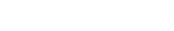 Berti Topografia
